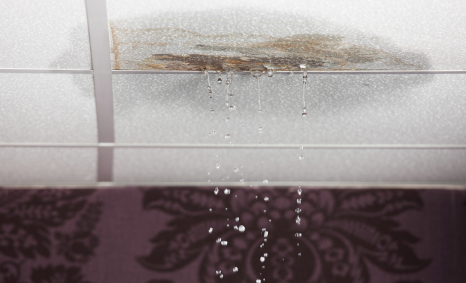 Plumber Malvern East